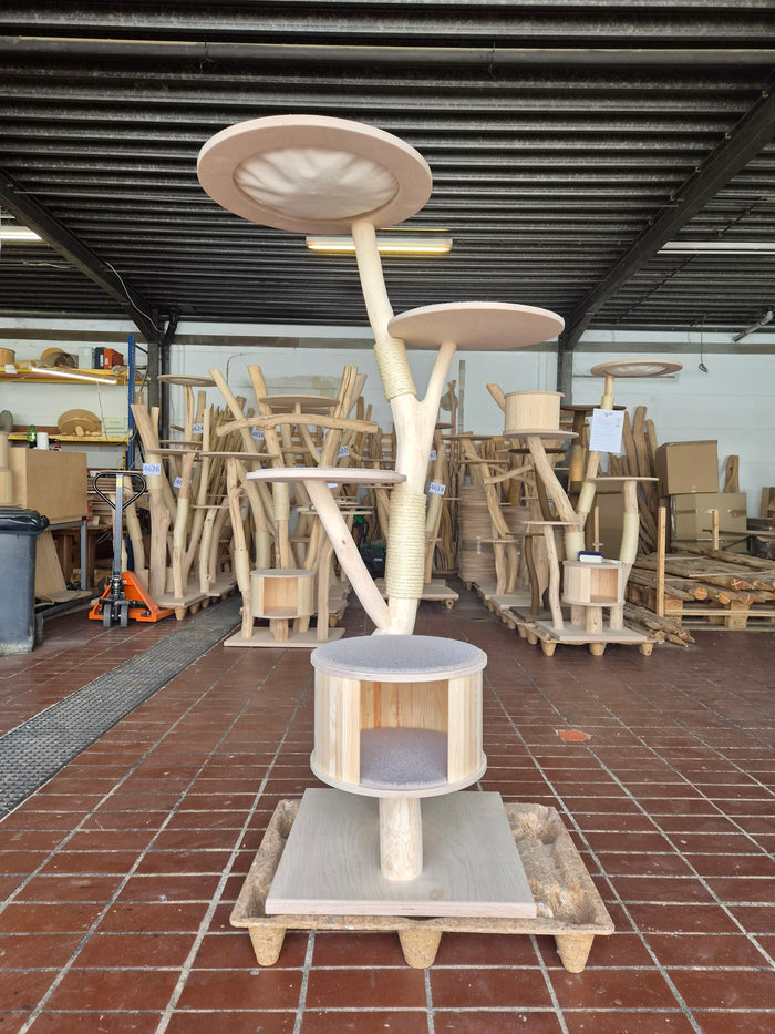 RESERVIERT - Naturkratzbaum KA096 Kratzbaum Natur Holz Design 169 cm hoch Katzenbaum