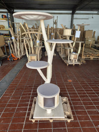 RESERVIERT - Naturkratzbaum KA096 Kratzbaum Natur Holz Design 169 cm hoch Katzenbaum