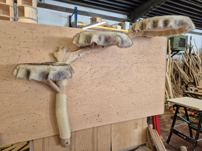 RESERVIERT - Wandkratzbaum KA077 Naturkratzbaum 177 cm Länge Kratzbaum Natur Holz Design