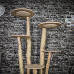 Naturkratzbaum 3868 Kratzbaum Natur Holz Design 175 cm hoch Katzenbaum