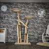 Naturkratzbaum 3877 Kratzbaum Natur Holz Design 175 cm hoch Katzenbaum