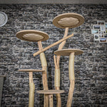 Naturkratzbaum 3882 Kratzbaum Natur Holz Design 172 cm hoch Katzenbaum