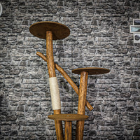 Naturkratzbaum 3959 Kratzbaum Natur Holz Design 155 cm hoch Katzenbaum