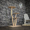 Naturkratzbaum 3970 Kratzbaum Natur Holz Design 123 cm hoch Katzenbaum