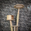 Naturkratzbaum 3982 Kratzbaum Natur Holz Design 157 cm hoch Katzenbaum