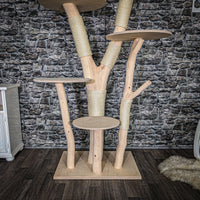 Naturkratzbaum 3995 Kratzbaum Natur Holz Design 205 cm hoch Katzenbaum