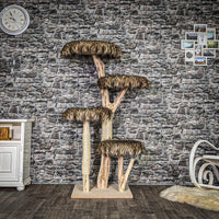 Naturkratzbaum 4004 Kratzbaum Natur Holz Design 160 cm hoch Katzenbaum