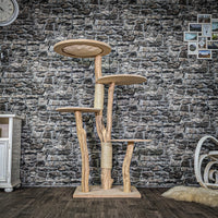 Naturkratzbaum 4021 Kratzbaum Natur Holz Design 145 cm hoch Katzenbaum