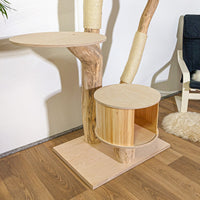 Naturkratzbaum 4196 Kratzbaum Natur Holz Design 175 cm hoch Katzenbaum