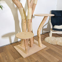 Naturkratzbaum 4199 Kratzbaum Natur Holz Design 205 cm hoch Katzenbaum