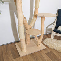 Naturkratzbaum 4261 Kratzbaum Natur Holz Design 205 cm hoch Katzenbaum