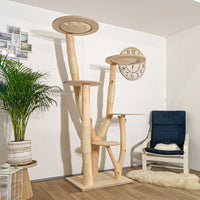 Naturkratzbaum 4261 Kratzbaum Natur Holz Design 205 cm hoch Katzenbaum