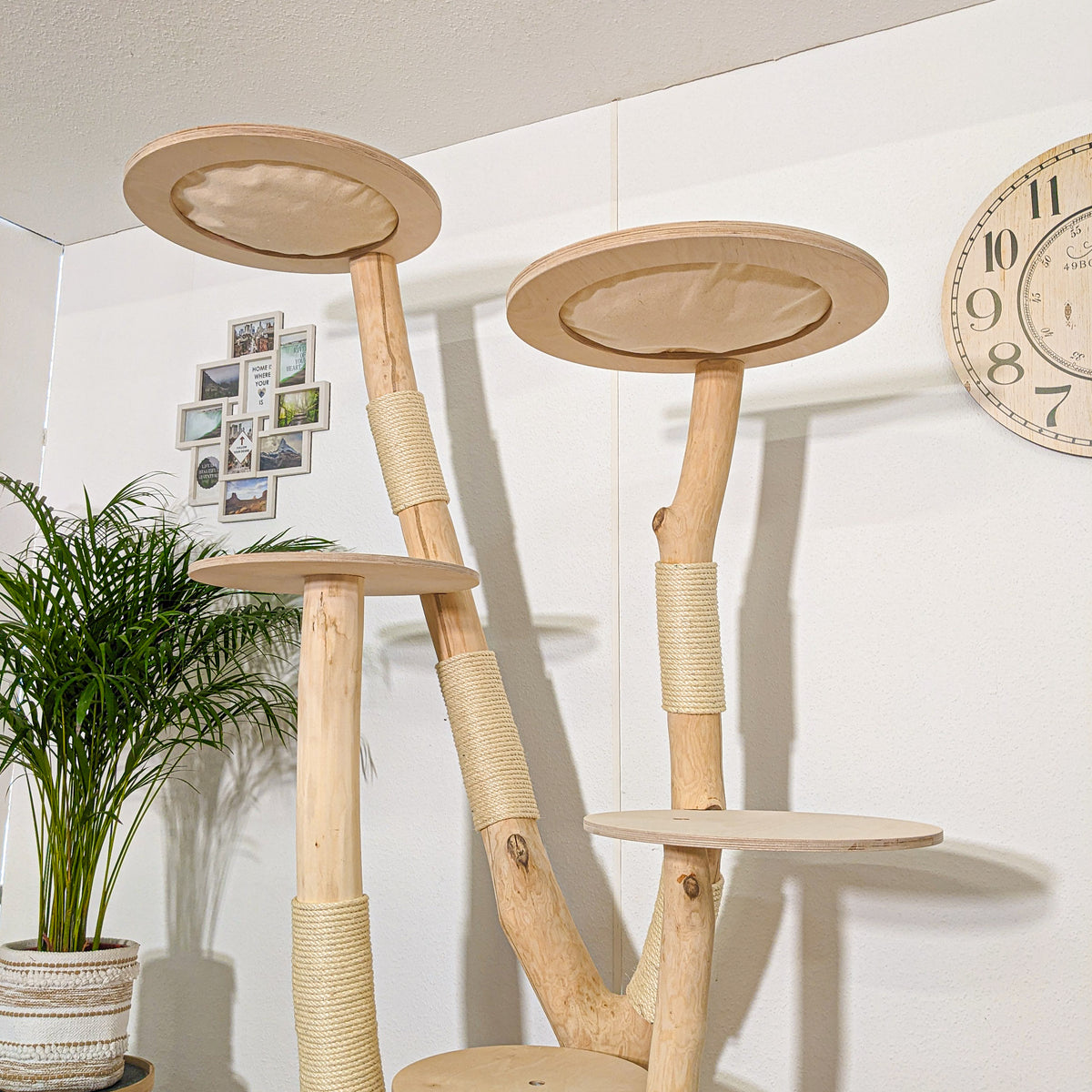 Naturkratzbaum 4261 Kratzbaum Natur Holz Design 205 cm hoch Katzenbaum