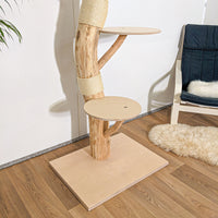 Naturkratzbaum 4262 Kratzbaum Natur Holz Design 205 cm hoch Katzenbaum