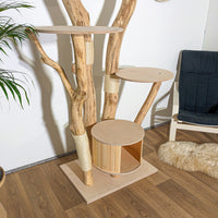 Naturkratzbaum 4304 Kratzbaum Natur Holz Design 205 cm hoch Katzenbaum