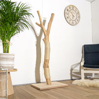 Kratzstamm 4367 Natur Holz Design Kratzbaum 160 cm hoch Naturkratzbaum