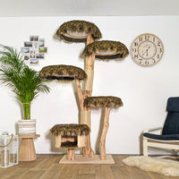Naturkratzbaum 4394 Kratzbaum Natur Holz Design 205 cm hoch Katzenbaum