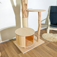 Naturkratzbaum 4394 Kratzbaum Natur Holz Design 205 cm hoch Katzenbaum