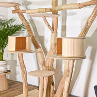 Naturkratzbaum 4497 Kratzbaum Natur Holz Design 210 cm hoch Katzenbaum