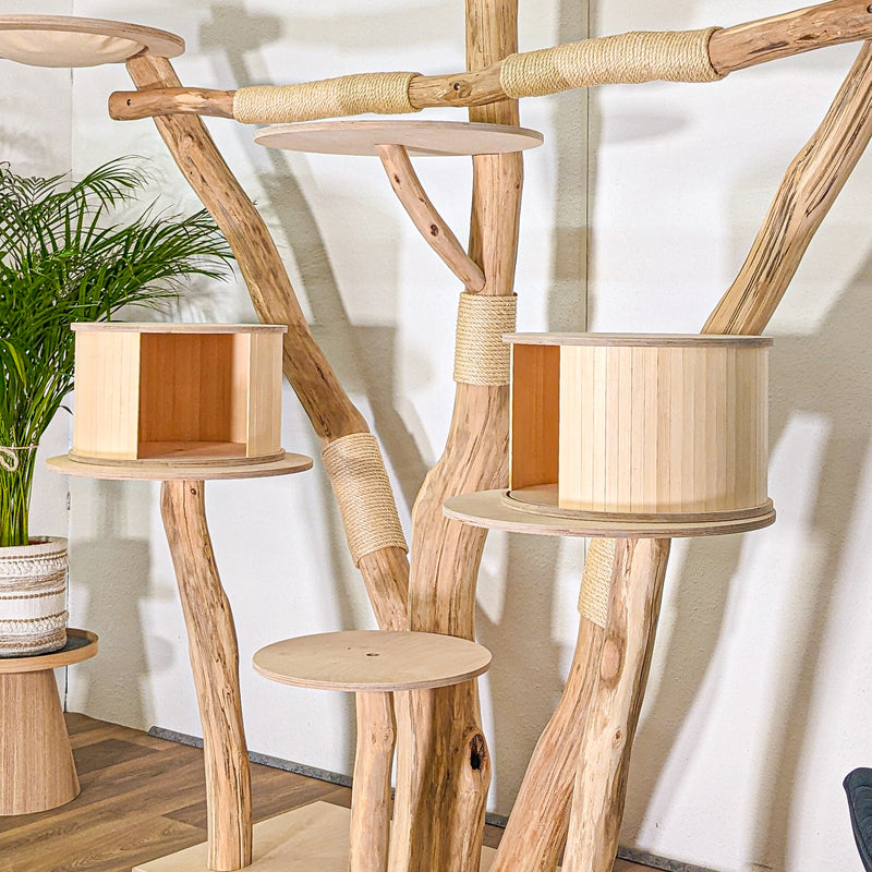 Naturkratzbaum 4497 Kratzbaum Natur Holz Design 210 cm hoch Katzenbaum