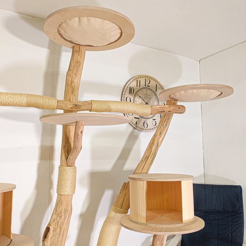 Naturkratzbaum 4497 Kratzbaum Natur Holz Design 210 cm hoch Katzenbaum