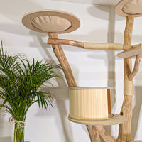 Naturkratzbaum 4497 Kratzbaum Natur Holz Design 210 cm hoch Katzenbaum