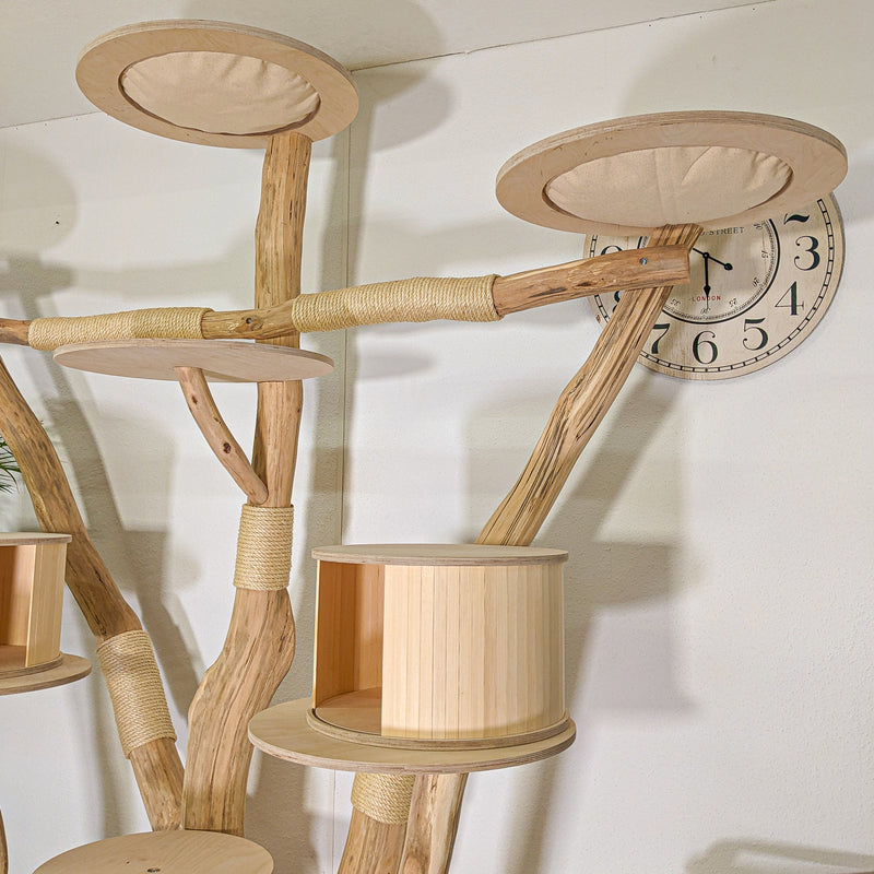 Naturkratzbaum 4497 Kratzbaum Natur Holz Design 210 cm hoch Katzenbaum