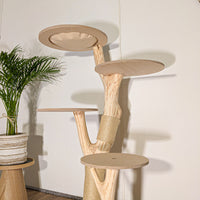 Naturkratzbaum 4509 Kratzbaum Natur Holz Design 144 cm hoch Katzenbaum