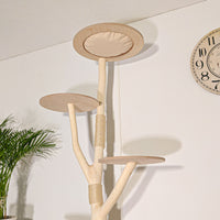 Naturkratzbaum 4511 Kratzbaum Natur Holz Design 200 cm hoch Katzenbaum