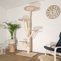 Naturkratzbaum 4511 Kratzbaum Natur Holz Design 200 cm hoch Katzenbaum