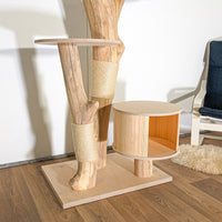Naturkratzbaum 4518 Kratzbaum Natur Holz Design 175 cm hoch Katzenbaum