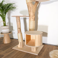 Naturkratzbaum 4518 Kratzbaum Natur Holz Design 175 cm hoch Katzenbaum
