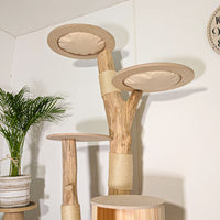Naturkratzbaum 4518 Kratzbaum Natur Holz Design 175 cm hoch Katzenbaum