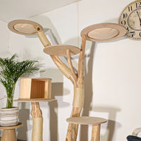 Naturkratzbaum 4521 Kratzbaum Natur Holz Design 195 cm hoch Katzenbaum