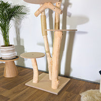 RESERVIERT - Naturkratzbaum 4548 Kratzbaum Natur Holz Design 165 cm hoch Katzenbaum