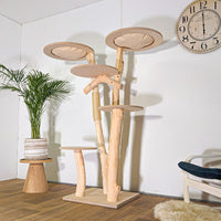 RESERVIERT - Naturkratzbaum 4548 Kratzbaum Natur Holz Design 165 cm hoch Katzenbaum