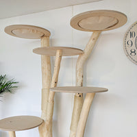 Naturkratzbaum 4559 Kratzbaum Natur Holz Design 203 cm hoch Katzenbaum