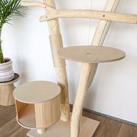 Naturkratzbaum 4560 Kratzbaum Natur Holz Design 155 cm hoch Katzenbaum