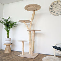 Naturkratzbaum 4561 Kratzbaum Natur Holz Design 175 cm hoch Katzenbaum