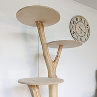 Naturkratzbaum 4563 Kratzbaum Natur Holz Design 163 cm hoch Katzenbaum