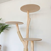 Naturkratzbaum 4565 Kratzbaum Natur Holz Design 174 cm hoch Katzenbaum