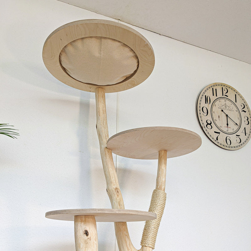 Naturkratzbaum 4569 Kratzbaum Natur Holz Design 175 cm hoch Katzenbaum