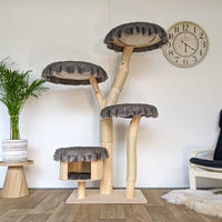Naturkratzbaum 4572 Kratzbaum Natur Holz Design 175 cm hoch Katzenbaum