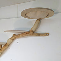 Wandkratzbaum 4575 Naturkratzbaum 190 cm Länge Kratzbaum Natur Holz Design