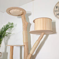 Naturkratzbaum 4578 Kratzbaum Natur Holz Design 185 cm hoch Katzenbaum