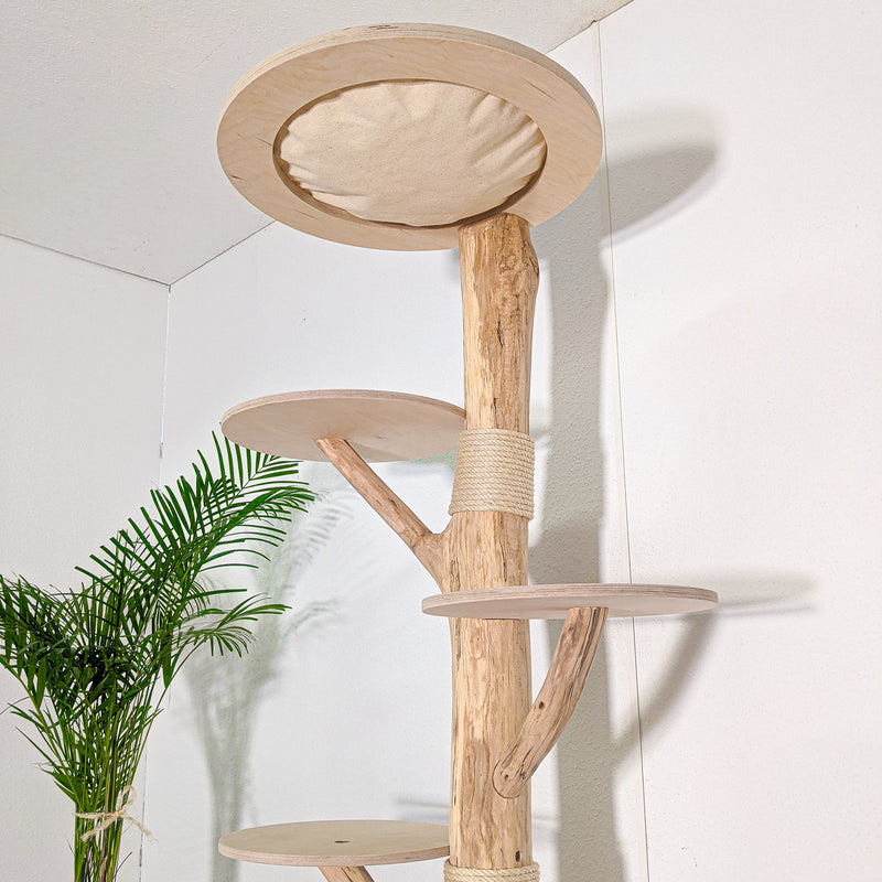 Naturkratzbaum 4581 Kratzbaum Natur Holz Design 190 cm hoch Katzenbaum