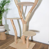 Naturkratzbaum 4586 Kratzbaum Natur Holz Design 175 cm hoch Katzenbaum