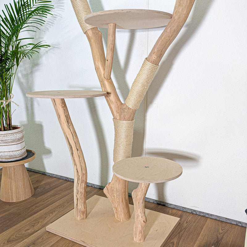 Naturkratzbaum 4586 Kratzbaum Natur Holz Design 175 cm hoch Katzenbaum
