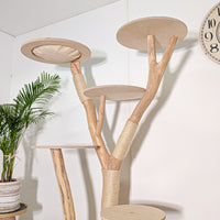 Naturkratzbaum 4586 Kratzbaum Natur Holz Design 175 cm hoch Katzenbaum