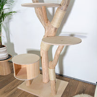 Naturkratzbaum 4587 Kratzbaum Natur Holz Design 175 cm hoch Katzenbaum